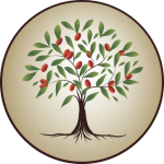 Arbre jujubier Association Nur Al Janaza
