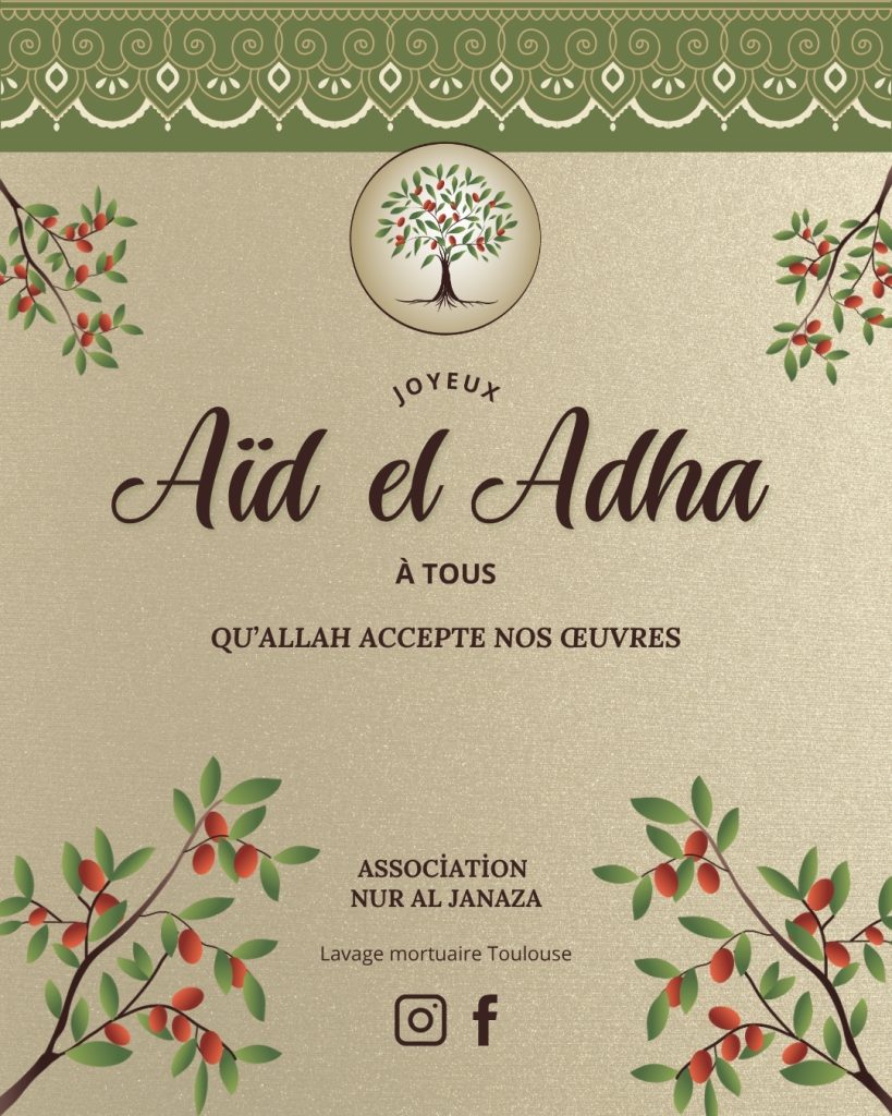 Aïd El Adha feuilles de jujubiers, arbre jujubier